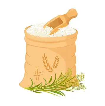 Rice